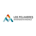 Minera Los Pelambres
